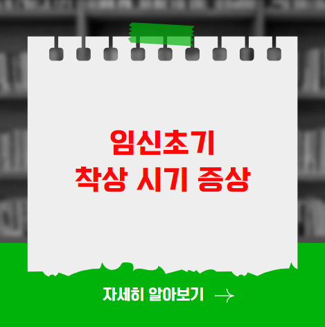 임신초기 착상시기 증상