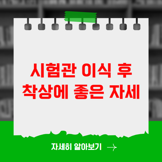 시험관 이식 후 착상에 좋은 자세