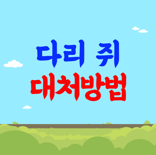 다리 쥐 났을 때 대처방법