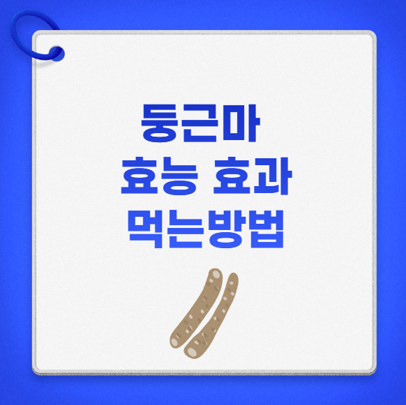 둥근마 효능 및 효과 먹는방법