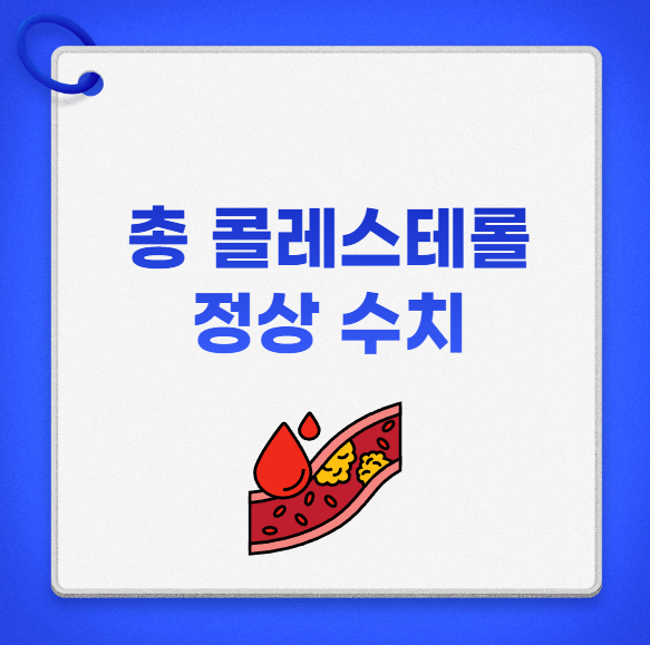 총 콜레스테롤 정상 수치