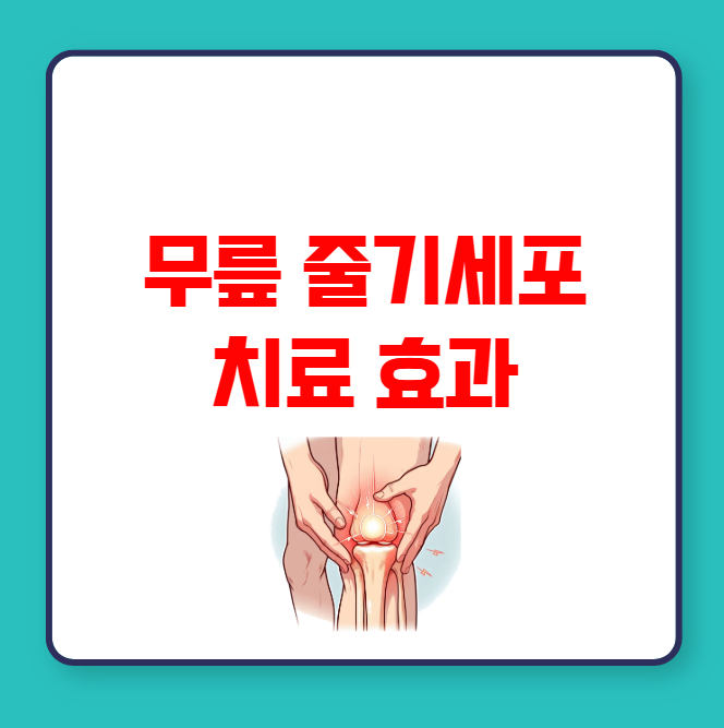 무릎 줄기세포 치료 효과