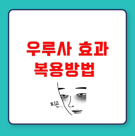 우루사 효과