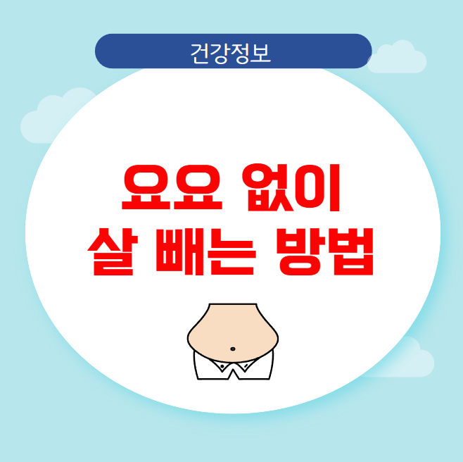 요요 없이 살 빼는 방법 요요 없이 살 빼는 방법