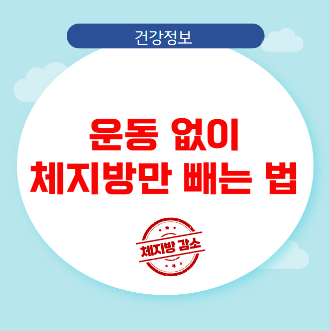 운동 없이 체지방만 빼는 법 운동 없이 체지방만 빼는 법