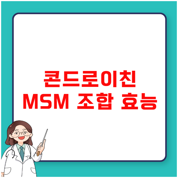 콘드로이친 MSM 조합 효능