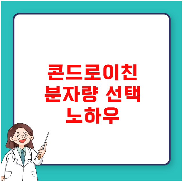 콘드로이친 분자량 선택 노하우