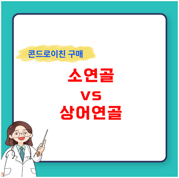 소 연골 상어 연골 콘드로이친 제품 비교