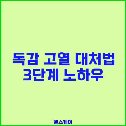 독감 고열 대처법 3단계 노하우