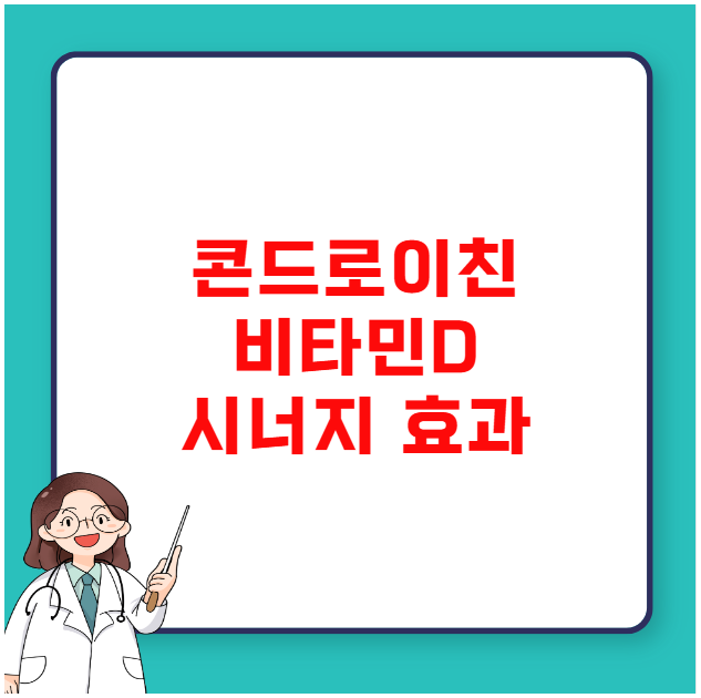 콘드로이친 비타민D 시너지 효과