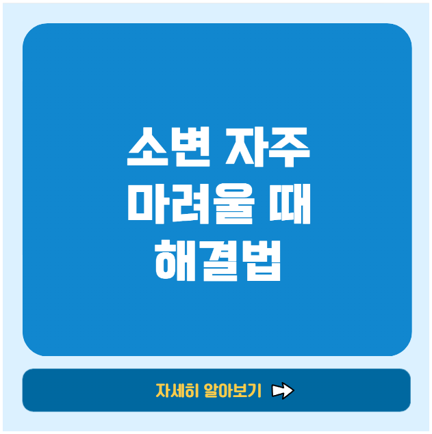 소변 자주 마려울 때 해결법
