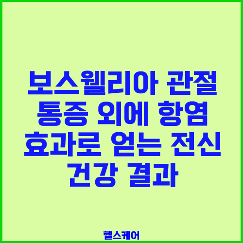 보스웰리아 관절 통증 외에 항염 효과로 얻는 전신 건강 결과
