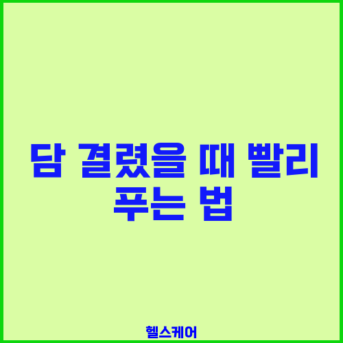담 결렸을 때 빨리 푸는 법