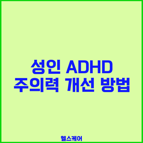 성인 ADHD 주의력 개선 방법