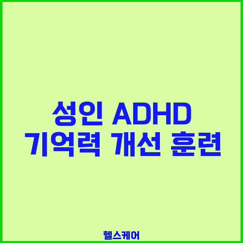 성인 ADHD 기억력 개선 훈련