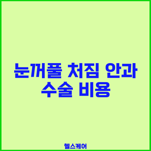 눈꺼풀 처짐 안과 수술 비용