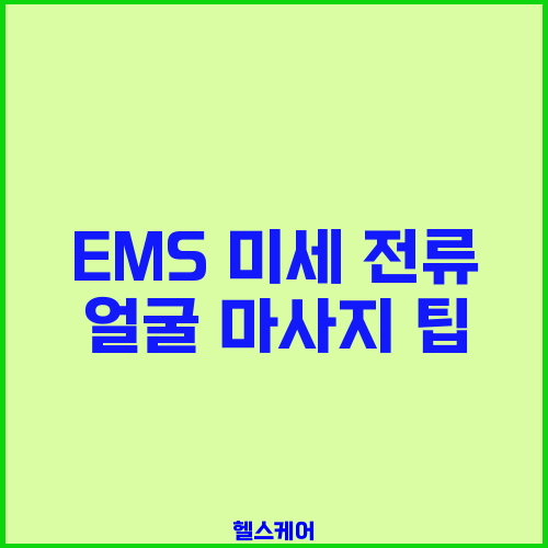 EMS 미세 전류 얼굴 마사지 팁