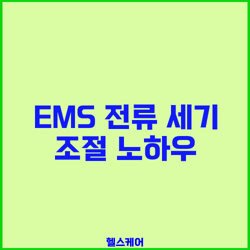 EMS 전류 세기 조절 노하우