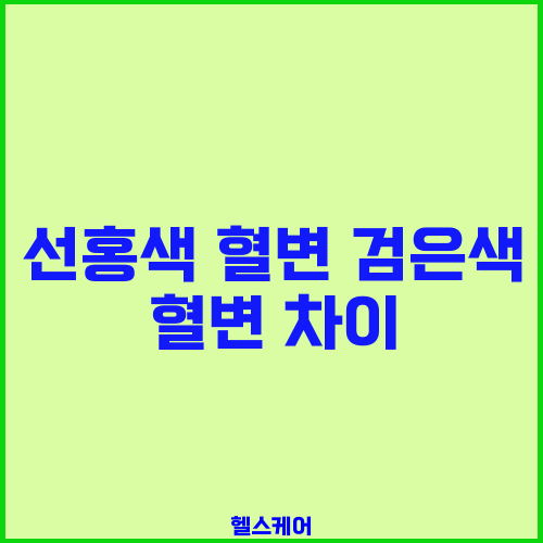 선홍색 혈변 검은색 혈변 차이